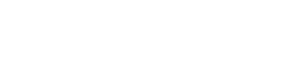 年华智标
